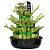 Драцена Сандериана Лаки Бамбук в керамике