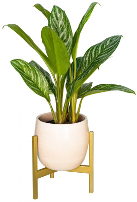 Подставка для комнатных растений Trinity / Тринити