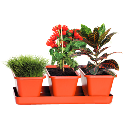 МИНИ-САД  горшки+поддон