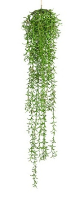 Нерифолиус