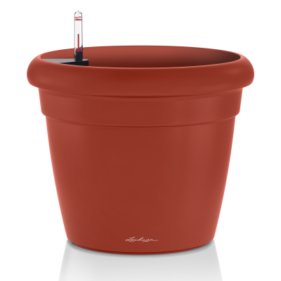 RUSTICO Color / РУСТИКО Колор