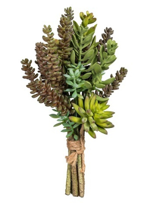 Суккуленты в связке ассорти