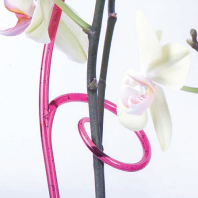 Держатель для орхидеи h 60 цвет: натуральный, бирюза, бордо, зеленый флюр, оранжевый флюр