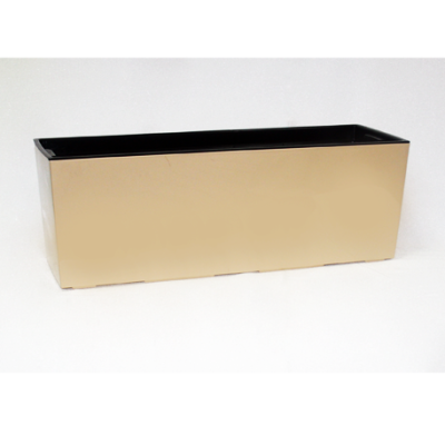 Цветник BEGONIA / БЕГОНИЯ