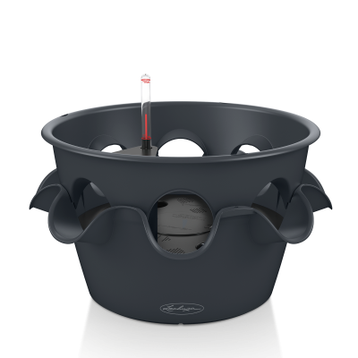 CASCADA Color / КАСКАДА Колор