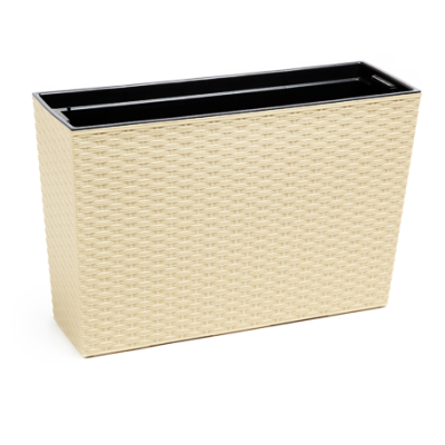 Цветник WERBENA rattan / ВЕРБЕНА ротанг