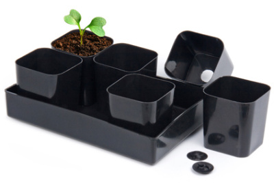 Набор для выращивания рассады из 6 стаканов
