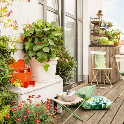 RUSTICO Color / РУСТИКО Колор