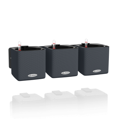 Комплект Green Wall Home Kit Color 