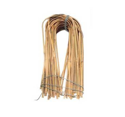 Дуга бамбук